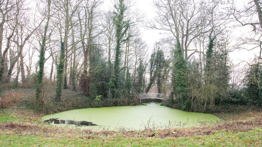 Vastgoedfoto thumbnail